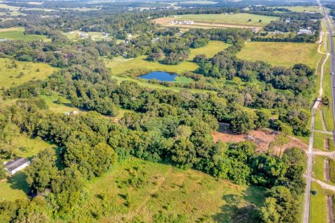 Land in Zephyrhills, Florida № 1349289 - photo 10