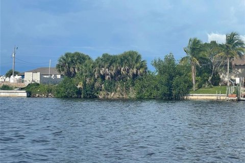 Terreno en venta en Cape Coral, Florida № 218832 - foto 6