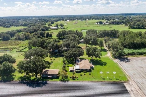 House in Plant City, Florida 4 bedrooms, 197.51 sq.m. № 1350515 - photo 19