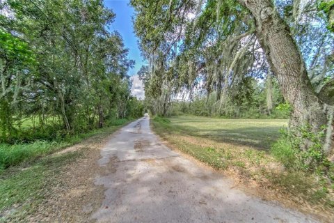 House in Plant City, Florida 4 bedrooms, 197.51 sq.m. № 1350515 - photo 15