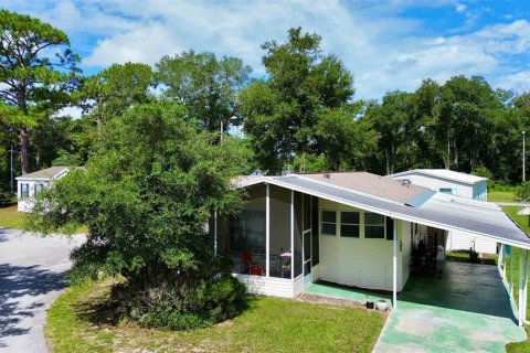 Propiedad comercial en venta en DeLand, Florida № 1336565 - foto 4