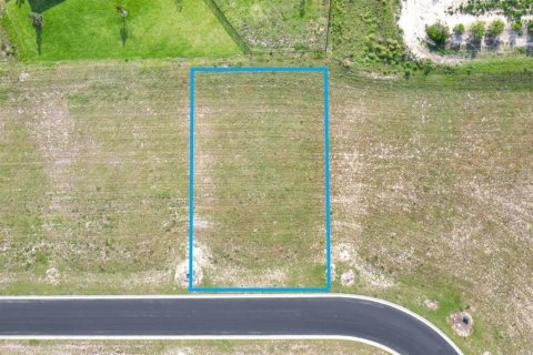 Terreno en venta en Auburndale, Florida № 1383465 - foto 6