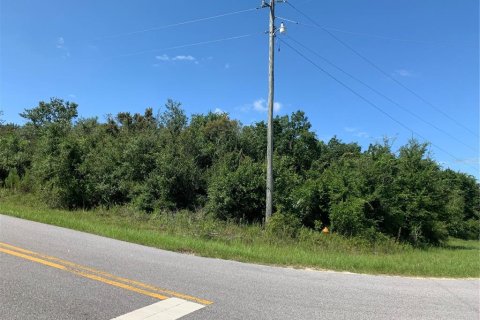 Land in Ocala, Florida № 1279716 - photo 2