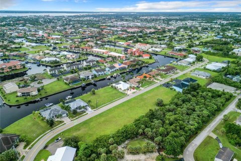 Land in Punta Gorda, Florida № 1334511 - photo 6