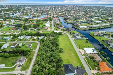 Terrain à vendre à Punta Gorda, Floride № 1334511 - photo 4