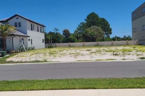 Купить земельный участок в Палм-Кост, Флорида № 629518 - фото 8