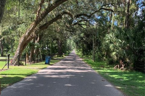 Terreno en venta en Brooksville, Florida № 1340354 - foto 3