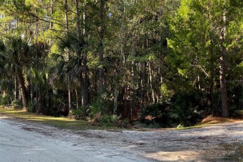 Terrain à vendre à Deltona, Floride № 236435 - photo 6