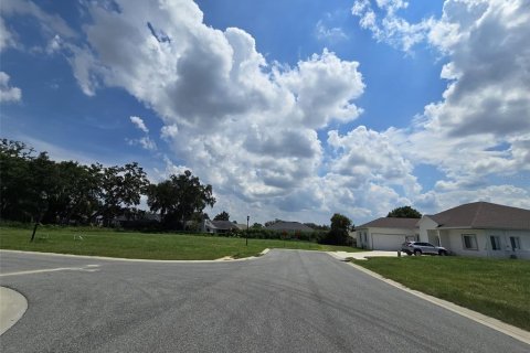 Land in Lakeland, Florida № 1354347 - photo 5