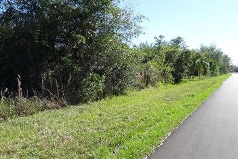 Land in Punta Gorda, Florida № 1283352 - photo 2