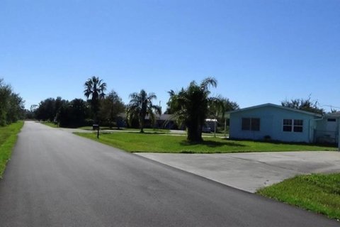 Terrain à vendre à Punta Gorda, Floride № 1283352 - photo 6