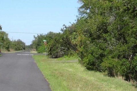 Terrain à vendre à Punta Gorda, Floride № 1283352 - photo 4