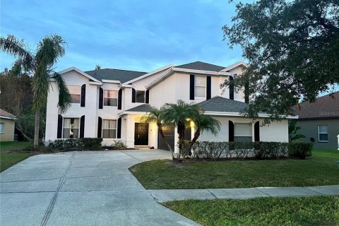 Villa ou maison à vendre à Lutz, Floride: 5 chambres, 349.5 m2 № 872703 - photo 1