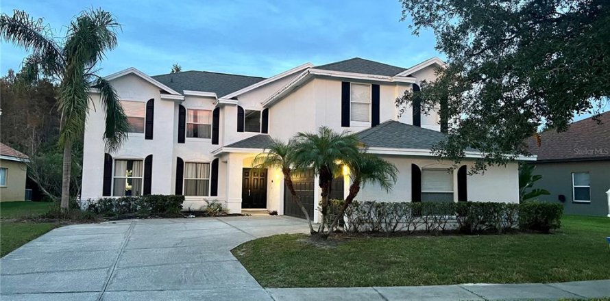 Casa en Lutz, Florida 5 dormitorios, 349.5 m2 № 872703