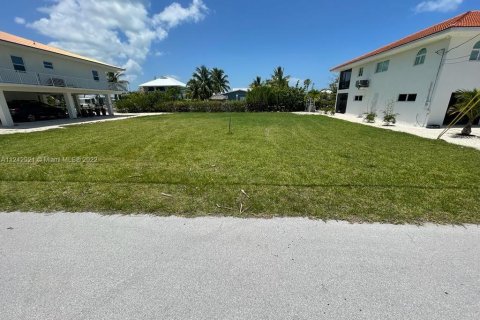 Terrain à vendre à Big Pine Key, Floride № 28640 - photo 1