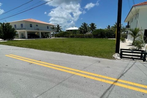 Terrain à vendre à Big Pine Key, Floride № 28640 - photo 6