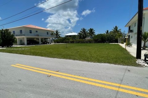 Купить земельный участок в Биг-Пайн-Ки, Флорида № 28640 - фото 10