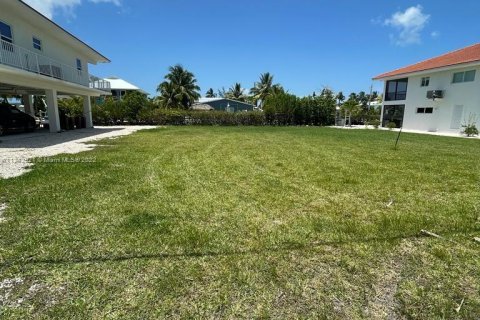 Terrain à vendre à Big Pine Key, Floride № 28640 - photo 8