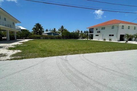 Terrain à vendre à Big Pine Key, Floride № 28640 - photo 2