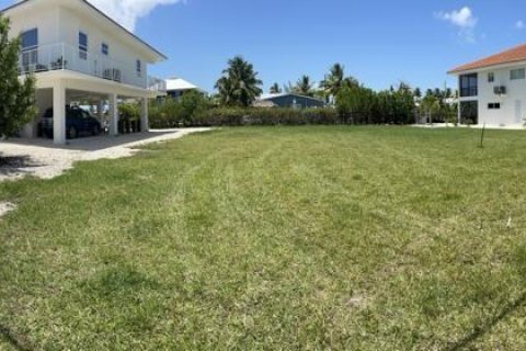 Купить земельный участок в Биг-Пайн-Ки, Флорида № 28640 - фото 4