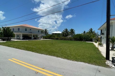 Купить земельный участок в Биг-Пайн-Ки, Флорида № 28640 - фото 13