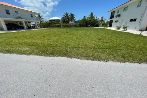 Купить земельный участок в Биг-Пайн-Ки, Флорида № 28640 - фото 3
