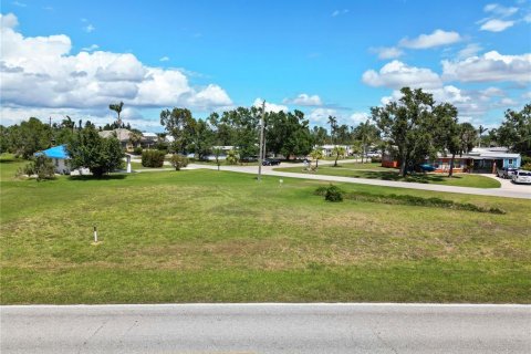 Land in Punta Gorda, Florida № 429098 - photo 15