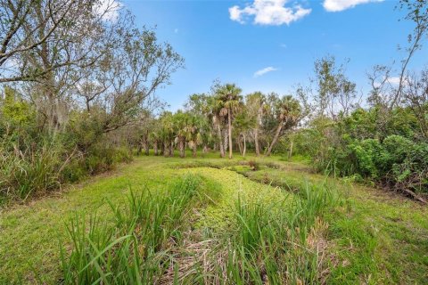 Villa ou maison à vendre à Punta Gorda, Floride: 2 chambres, 119.75 m2 № 907414 - photo 30