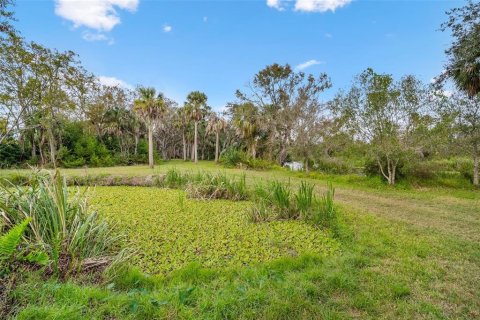 Villa ou maison à vendre à Punta Gorda, Floride: 2 chambres, 119.75 m2 № 907414 - photo 25