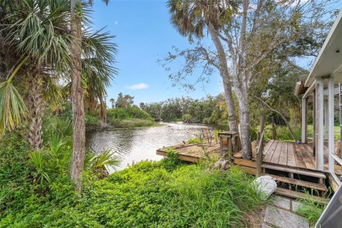 Villa ou maison à vendre à Punta Gorda, Floride: 2 chambres, 119.75 m2 № 907414 - photo 3