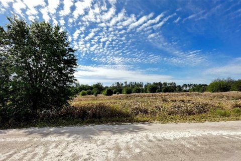Terrain à vendre à Wesley Chapel, Floride № 383287 - photo 18