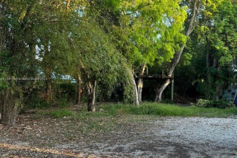 Купить земельный участок в Ки-Ларго, Флорида № 1132164 - фото 2