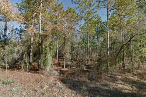 Terreno en venta en Morriston, Florida № 1361247 - foto 6