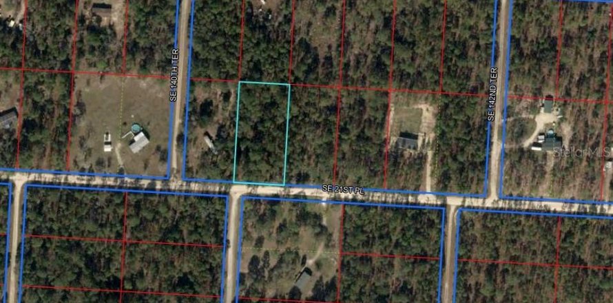 Land in Morriston, Florida № 1361247