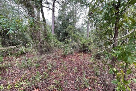 Terreno en venta en Morriston, Florida № 1361247 - foto 2