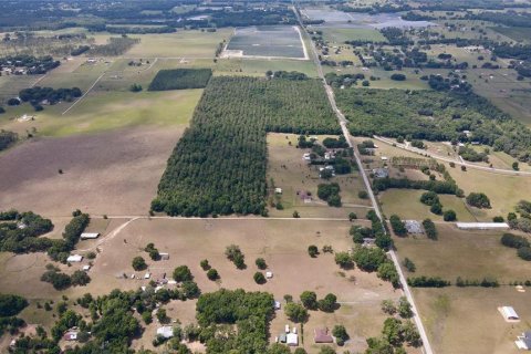 Terrain à vendre à Dade City, Floride № 217645 - photo 20