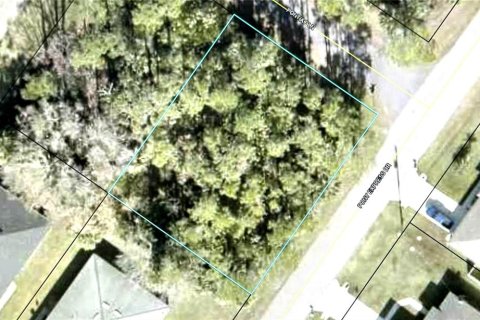 Terreno en venta en Palm Coast, Florida № 1336389 - foto 1