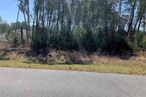 Terreno en venta en Ocala, Florida № 1127065 - foto 1