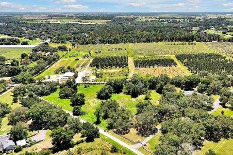 Terreno en venta en Winter Garden, Florida № 1352364 - foto 11