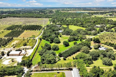 Land in Winter Garden, Florida № 1352364 - photo 3