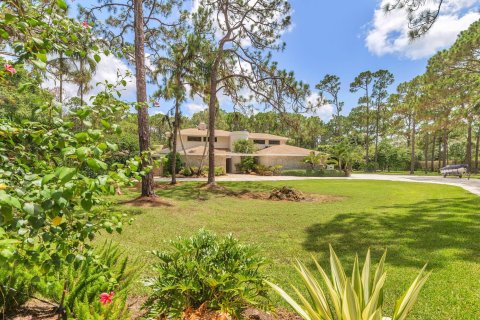 Villa ou maison à vendre à Palm Beach Gardens, Floride: 5 chambres, 331.66 m2 № 1145894 - photo 24