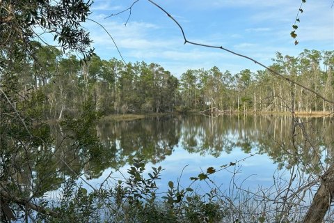 Land in Punta Gorda, Florida № 946211 - photo 1