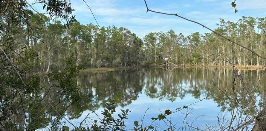 Terreno en Punta Gorda, Florida № 946211