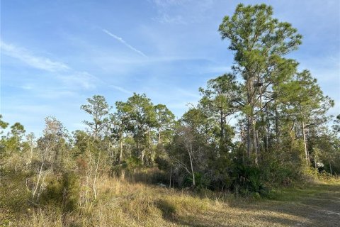 Terrain à vendre à Punta Gorda, Floride № 946211 - photo 6