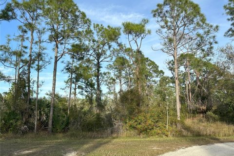 Terrain à vendre à Punta Gorda, Floride № 946211 - photo 2