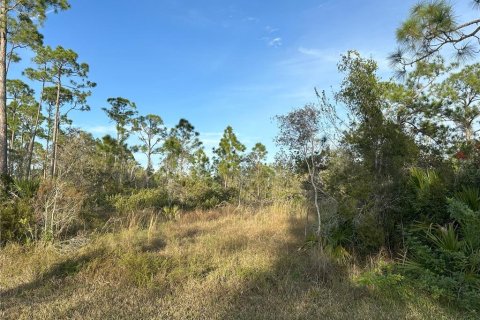 Terrain à vendre à Punta Gorda, Floride № 946211 - photo 7