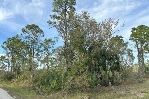 Terrain à vendre à Punta Gorda, Floride № 946211 - photo 3