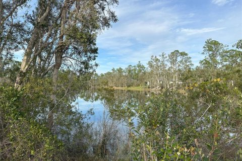 Terrain à vendre à Punta Gorda, Floride № 946211 - photo 4