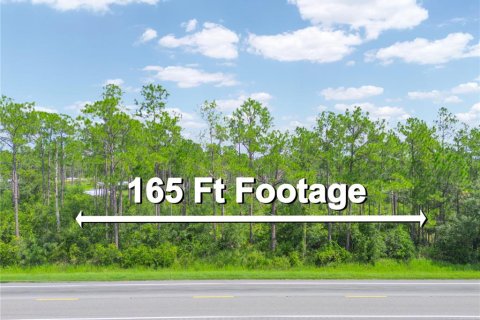 Land in Lake Wales, Florida № 1324782 - photo 12