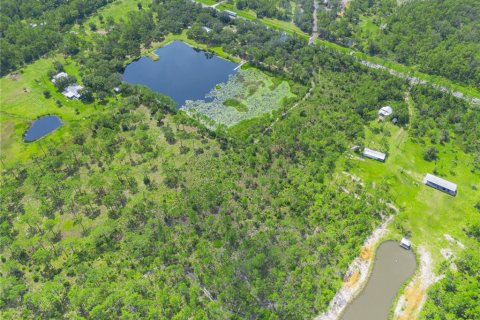 Terreno en venta en Lake Wales, Florida № 1324782 - foto 6